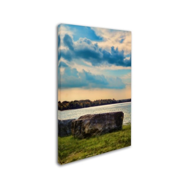 Jai Johnson 'River Rock' Canvas Art,16x24